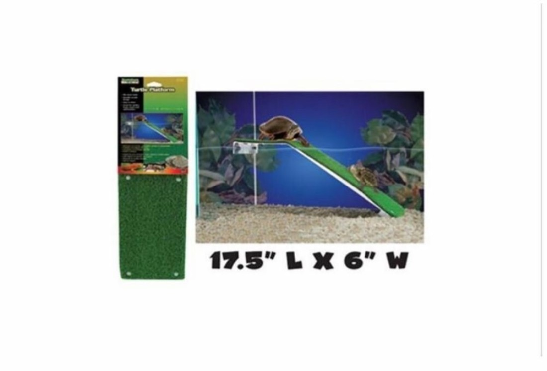 PENNPLAX Reptology Turtle Basking Platform Ramp Also Great for Frogs Newts Salamanders and Axolotls 175 x 6