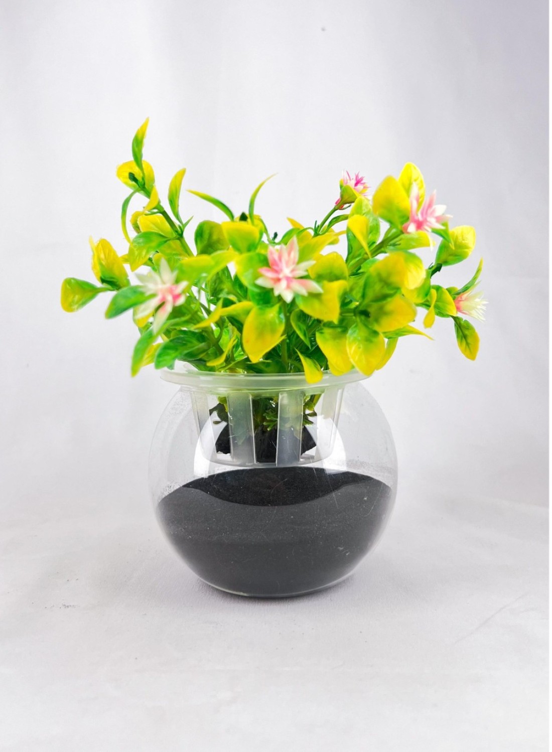 Glass Aquarium Bowl 6-Inch with Integrated Decorative Plant Holder with Lid (Large)