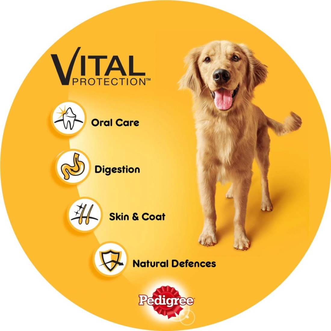 Pedigree Chicken Loaf Wet Food for Dog, 400g