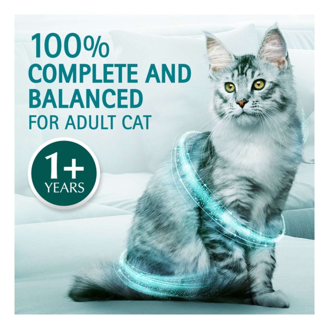 Purina One Visible Hairball Control with Chicken Cat Food, 1 Years and above, 1.2kg