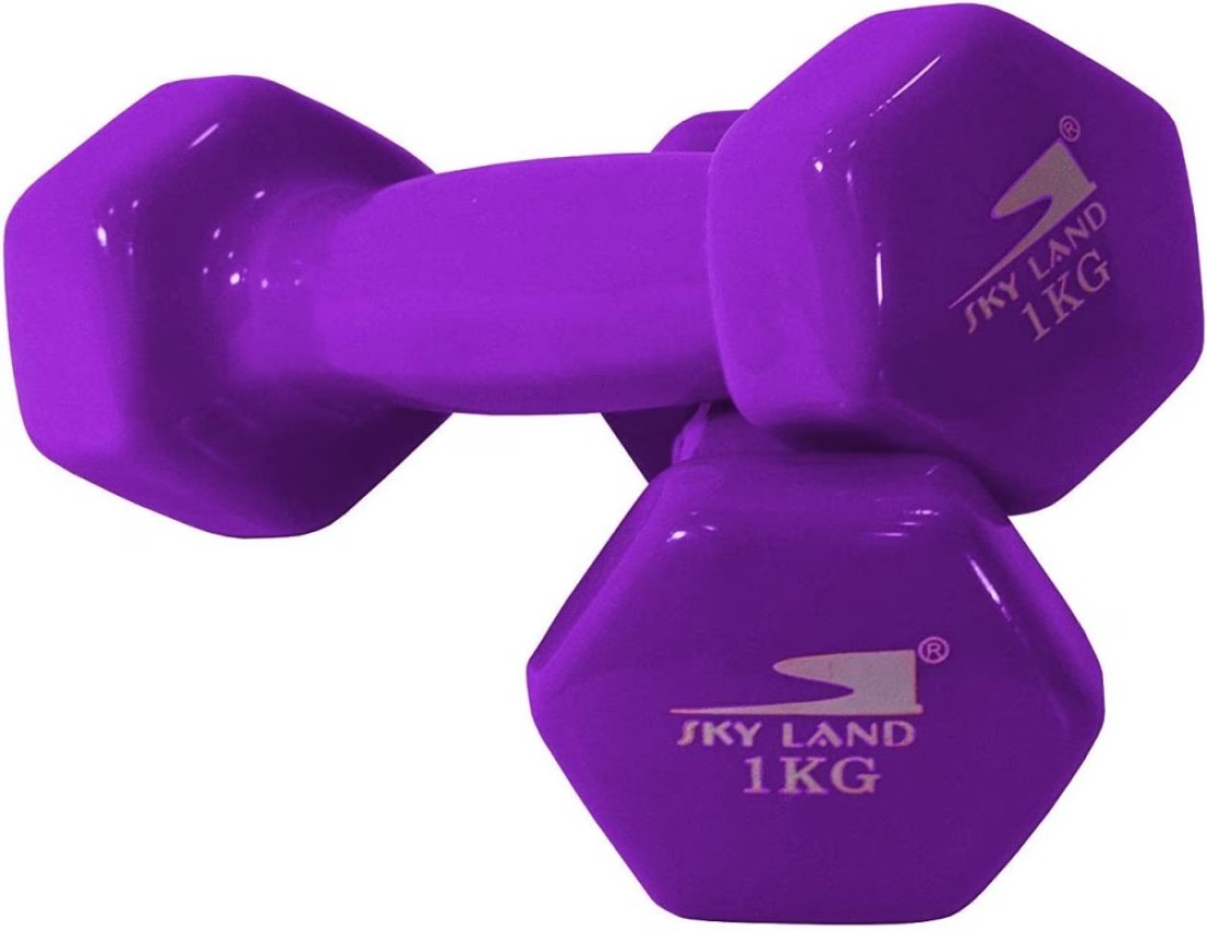 Sky Land Vinyl Dumbbell Classical Head 1 Kgx2 Purple