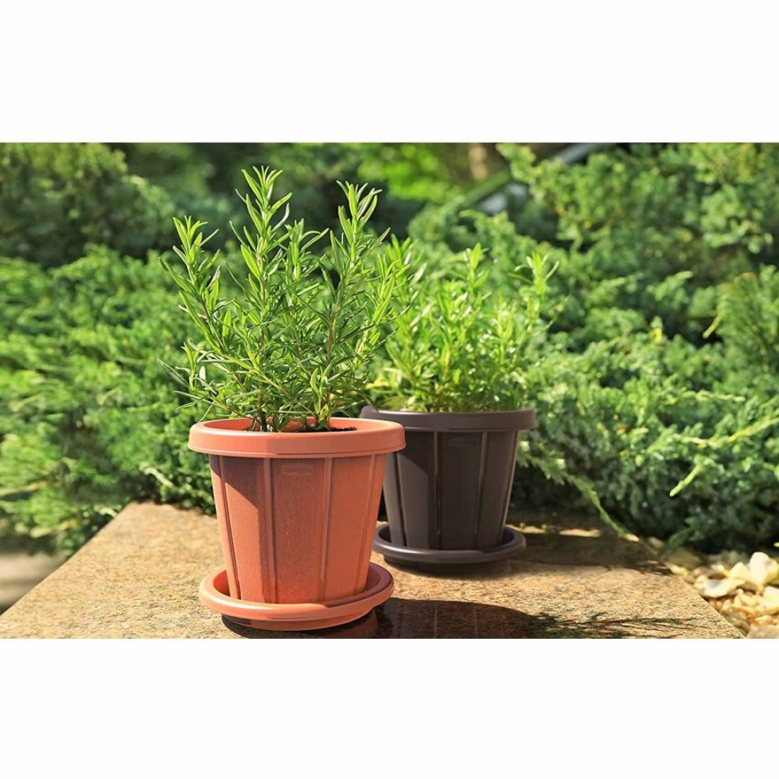 Cosmoplast Cedargrain Flower Pot With Tray Dark Brown 6inch