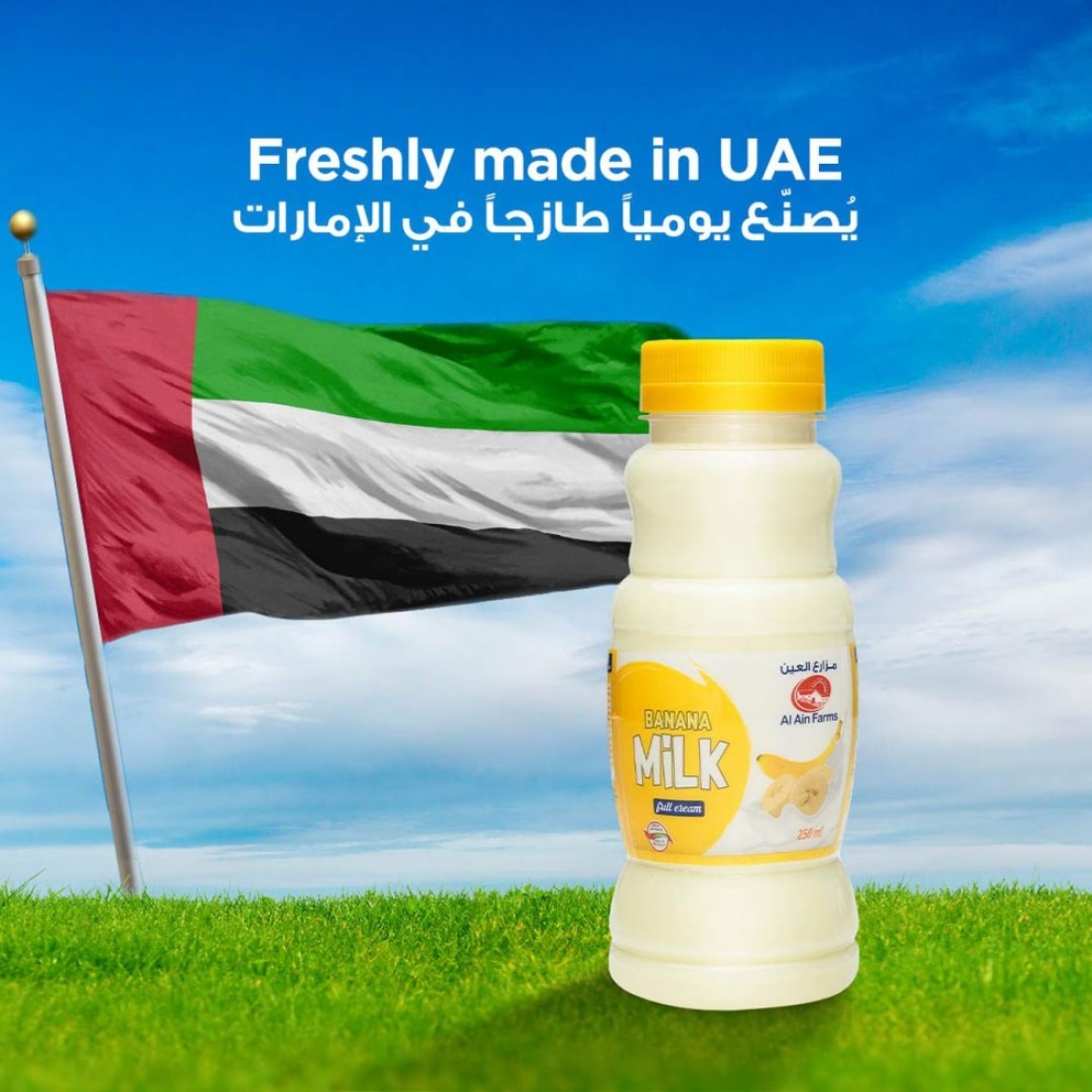 Al Ain Banana Milk 250ml