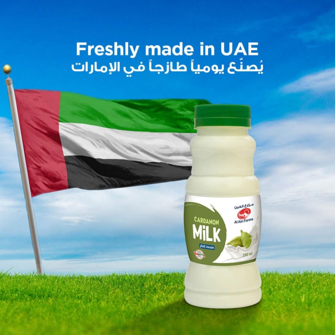 Al Ain Cardamom Milk 250ml