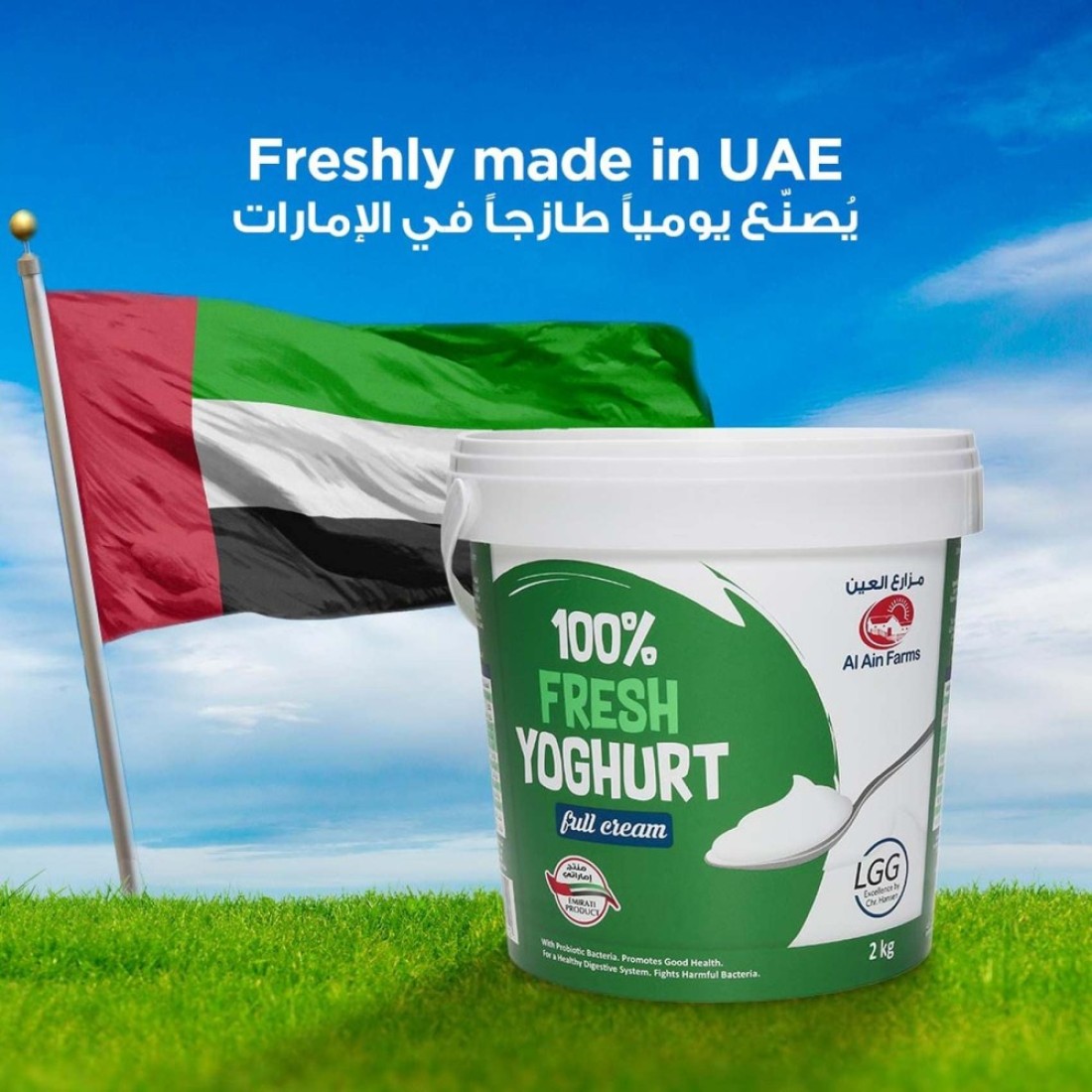 العين زبادي طازج كامل الدسم 2 كغ