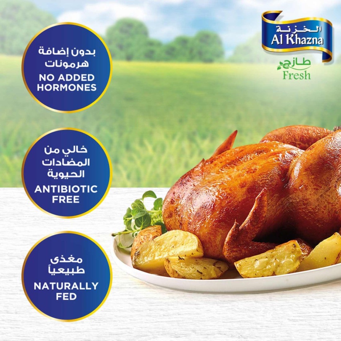 Al Khazna Fresh Chicken 800g