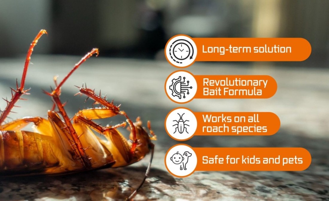 Advion Buy 2 Get 3 Cockroach Gel Bait Indoor &amp; Outdoor Use Major Cockroach Species 30g