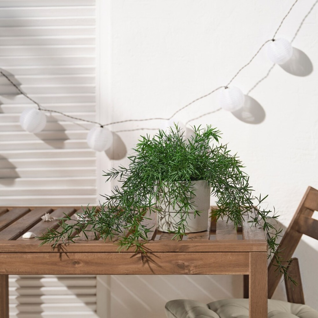 Artificial Potted Plant In/Outdoor Asparagus/Hanging 12 Cm