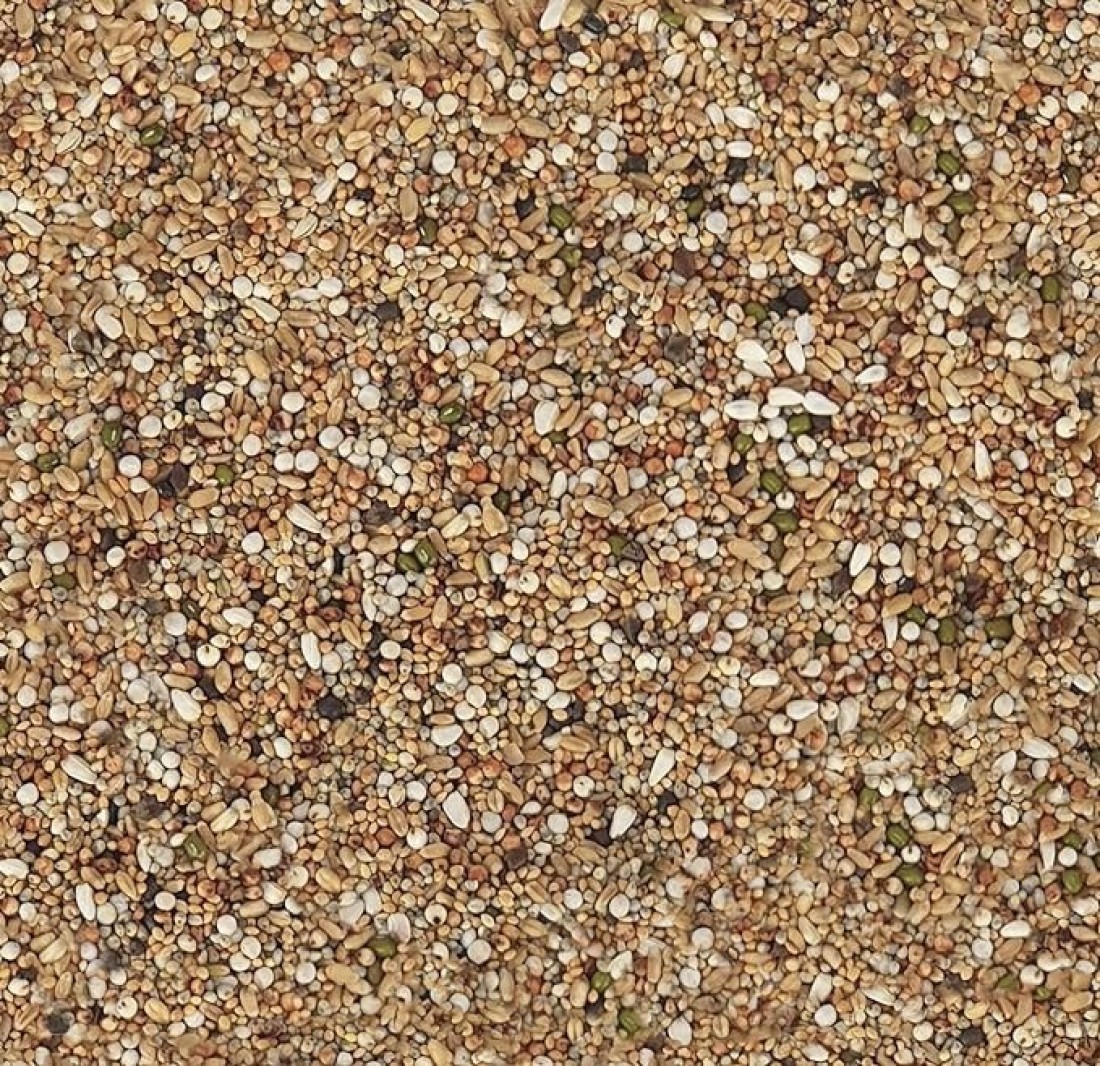 Egardenkart® Economic Bird Food Mix wild bird food Small bird Pigeon Seed mix (20, Small Seeds Mix)