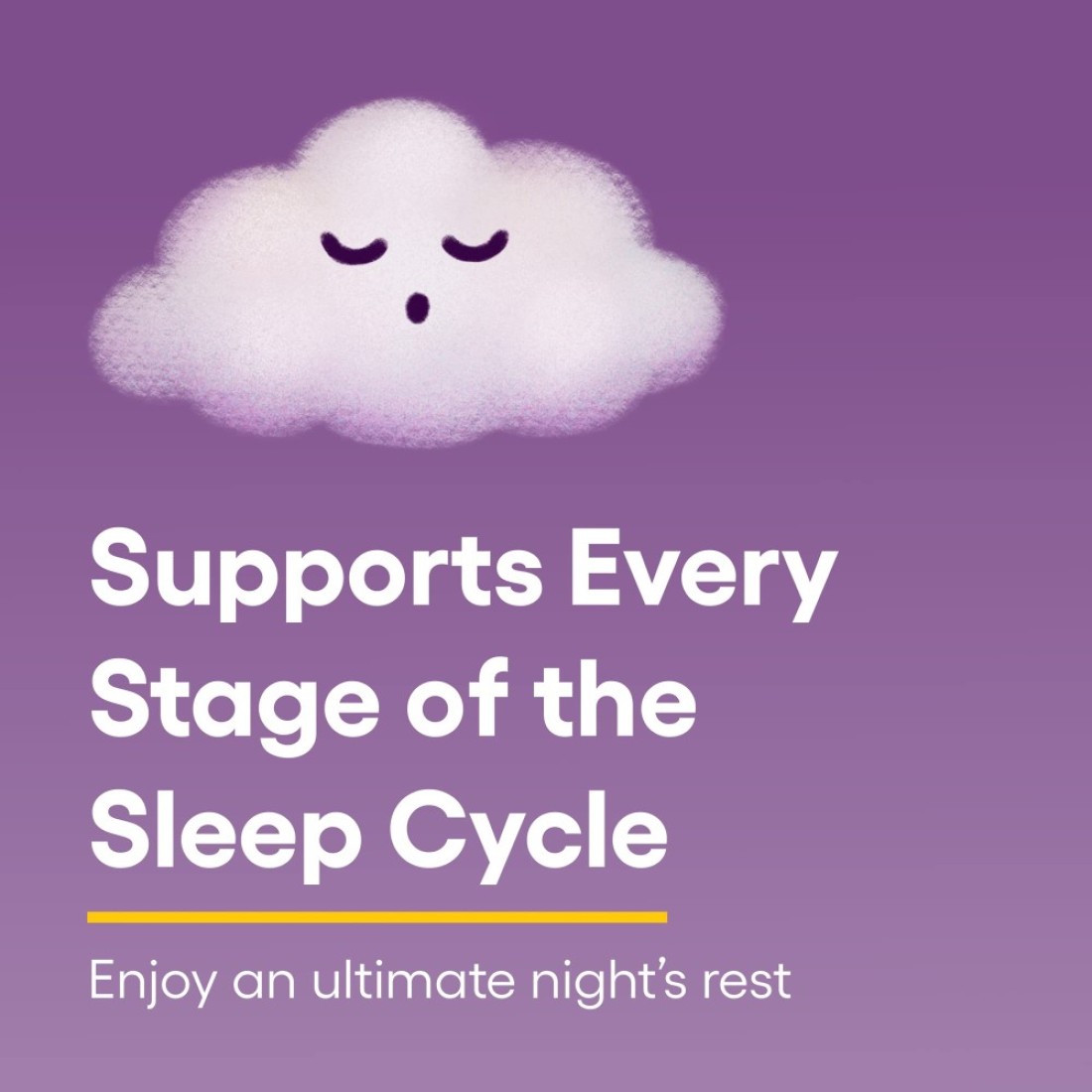 Natural Factors StressRelax Tranquil Sleep Chewable Supports the Full Sleep Cycle 120 Count Pack of 1