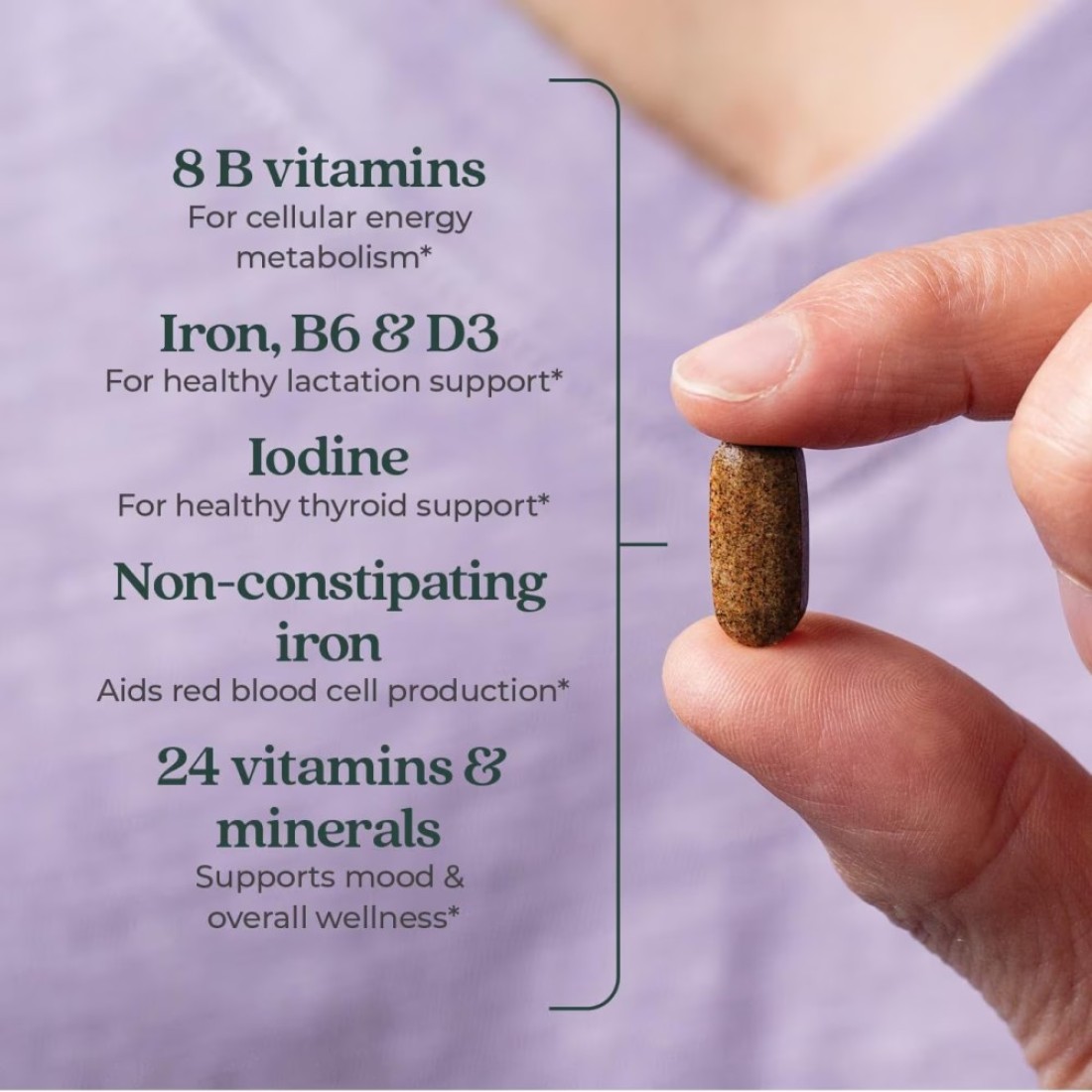 New Chapter Postnatal Vitamins Lactation Supplement Complete Multivitamin with Fermented Vitamin D3 B Vitamins Made with Organic Vegetables Herbs NonGMO Ingredients 96 Count