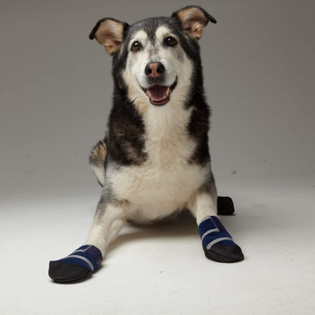 Healers Medical Dog Boots and Bandages Large