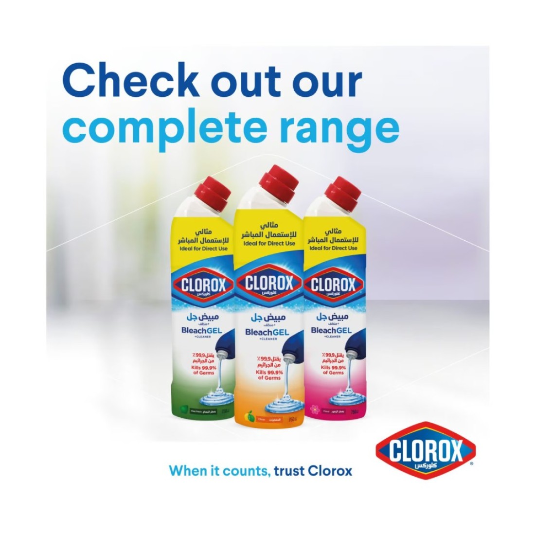 Clorox Bleach Gel And Cleaner Citrus Purity 750ml