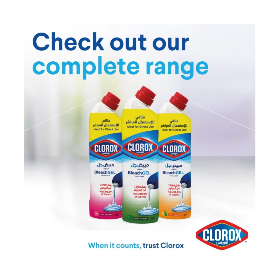 Clorox Bleach Gel And Cleaner Mint Freshness 750ml