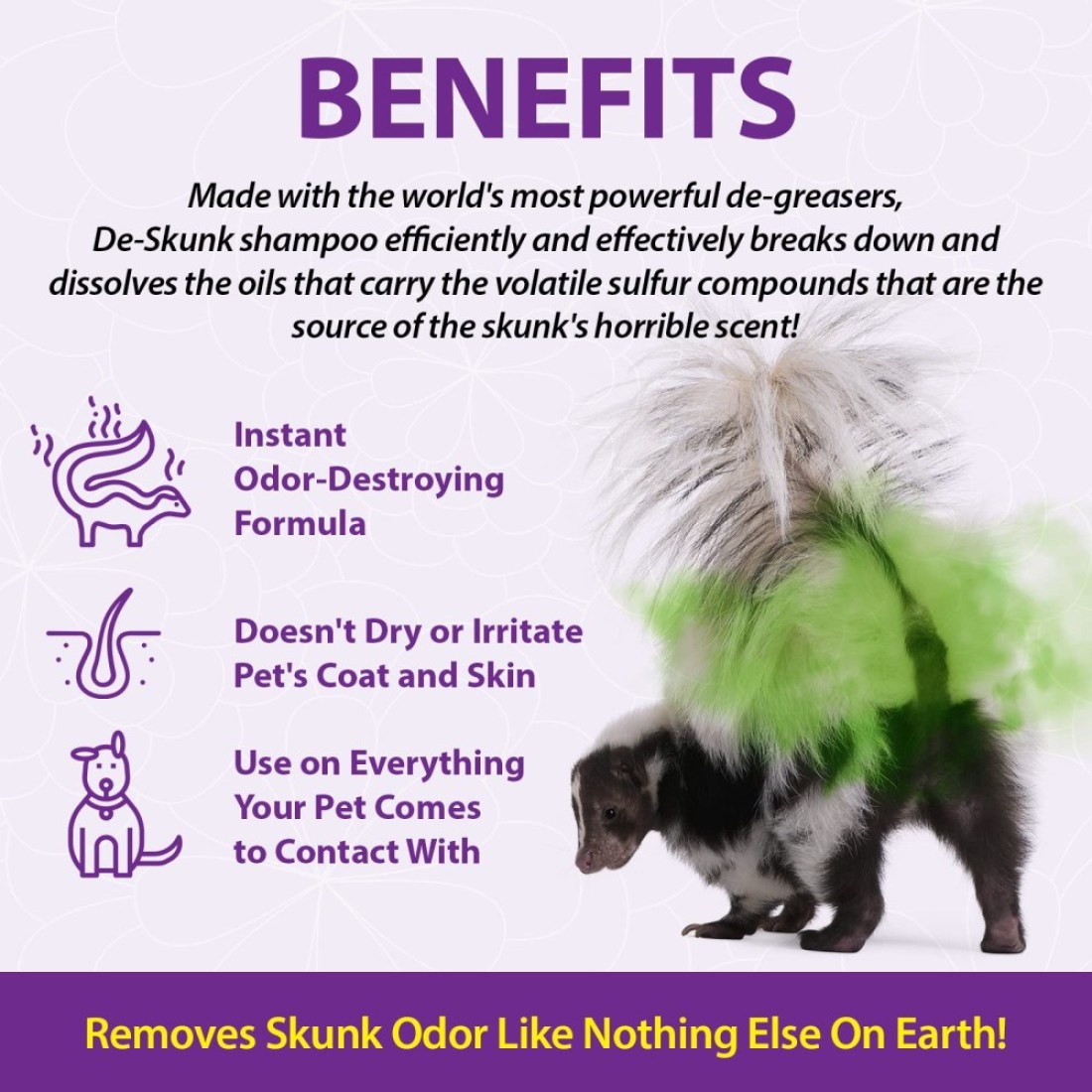 DeSkunk Odor Destroying Shampoo for Dogs 32 oz Formulated with Powerful DeGreasers Skunk Odor Remover for Pets Carpet Furniture and More Removes Skunk Smell Fast Clear FG00065