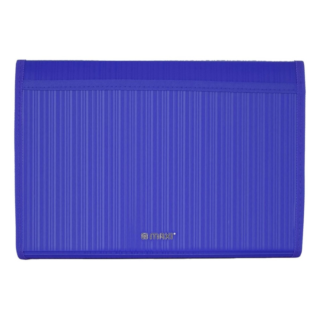 Maxi Expanding File with String A4 Size 13 Tab Blue