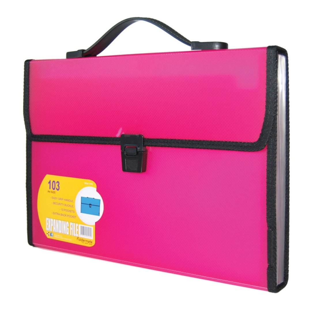 Foldermate Expanding File with Handle A4 13 Pockets