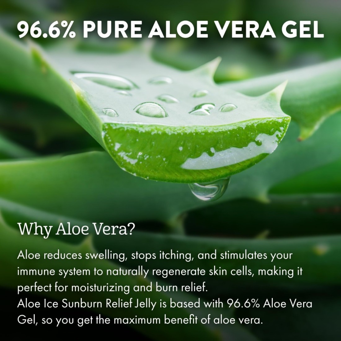 ALOE UP Aloe Ice Sunburn Relief Jelly Face and Body Organic After Sun Gel With 966 Pure Aloe Vera Gel Reef Safe Alcohol and FragranceFree 4 Oz