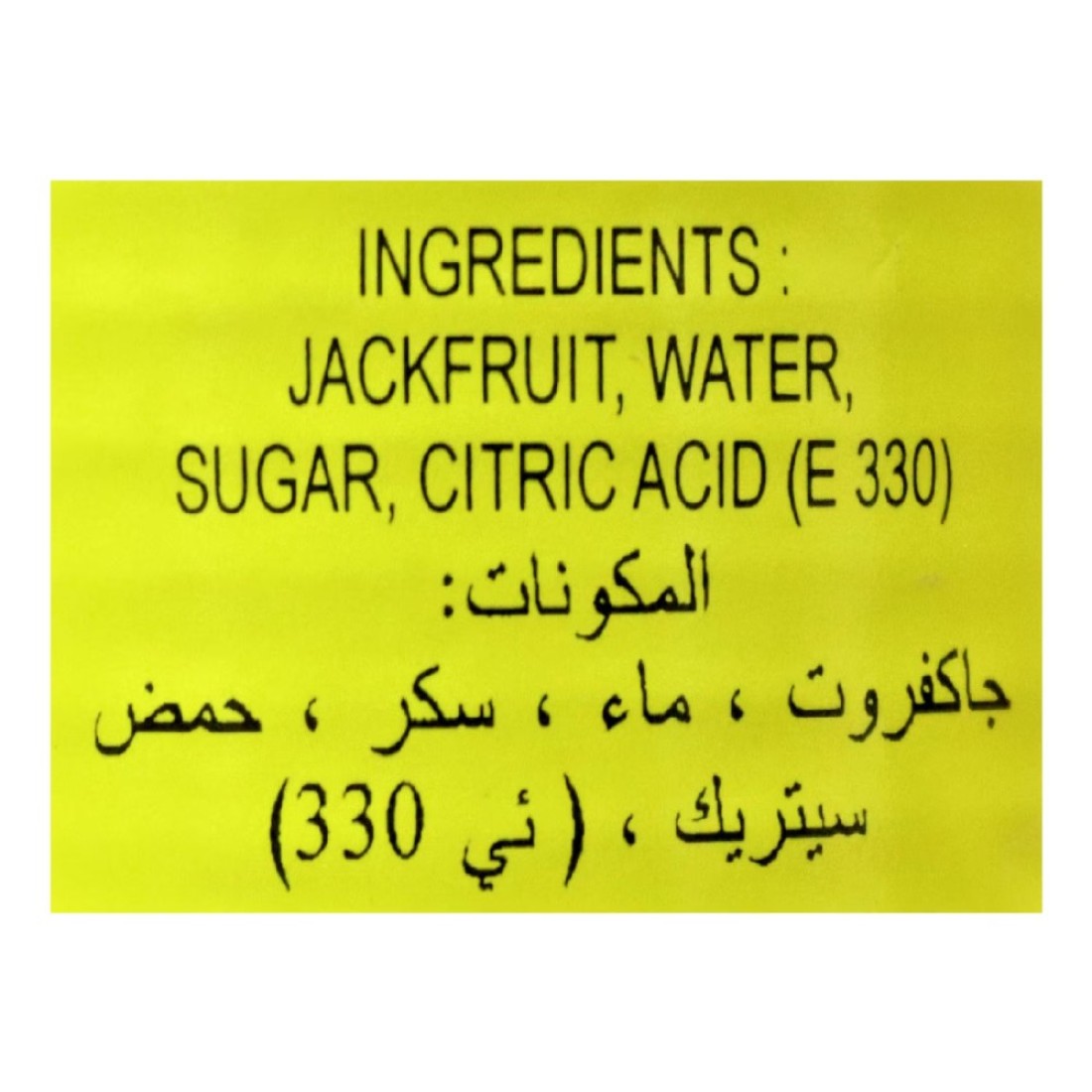 Teptip Jackfruit in Syrup, 565g