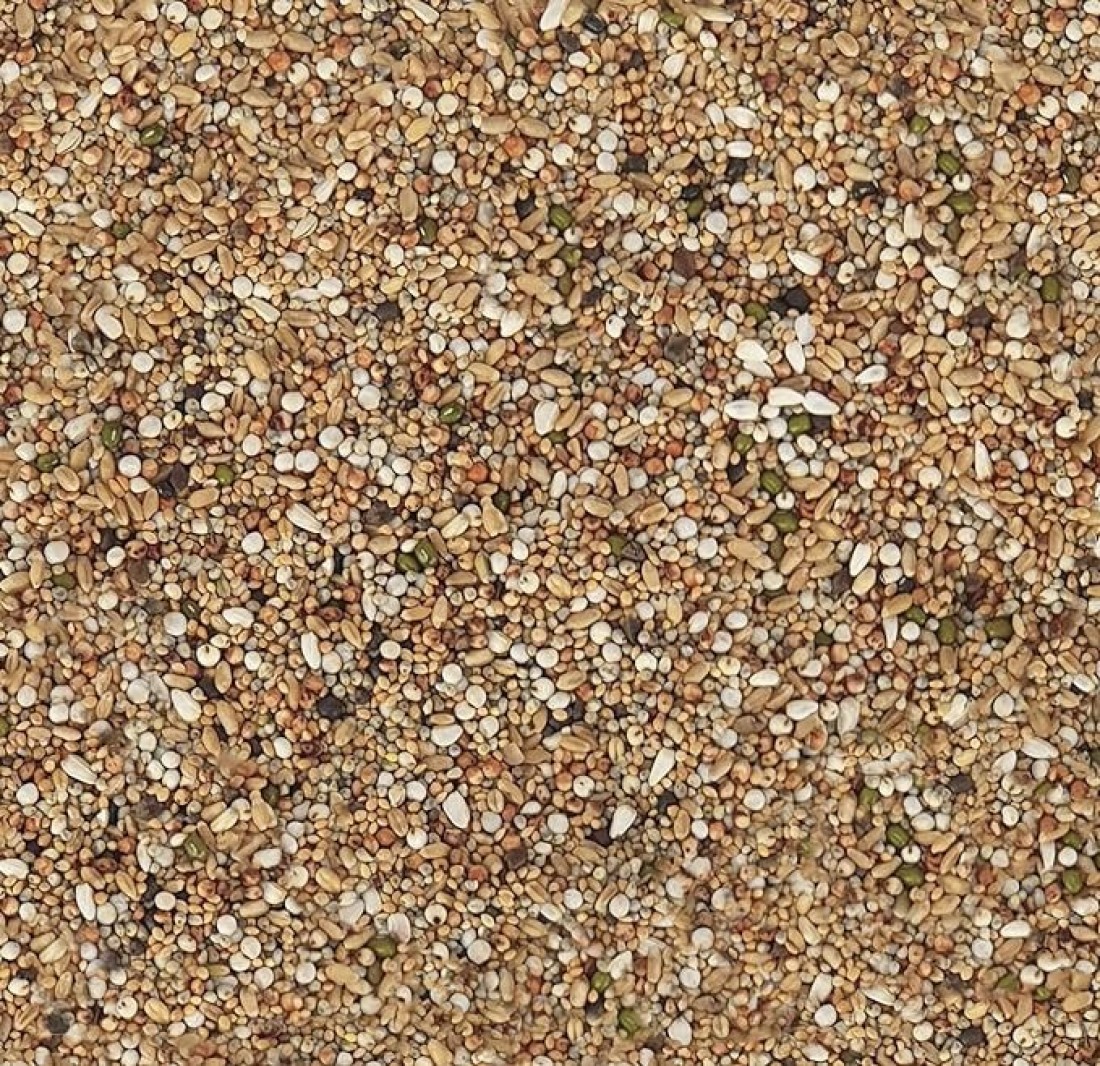 Egardenkart® Economic Bird Food Mix wild bird food Small bird Pigeon Seed mix (10, Small Seeds Mix)