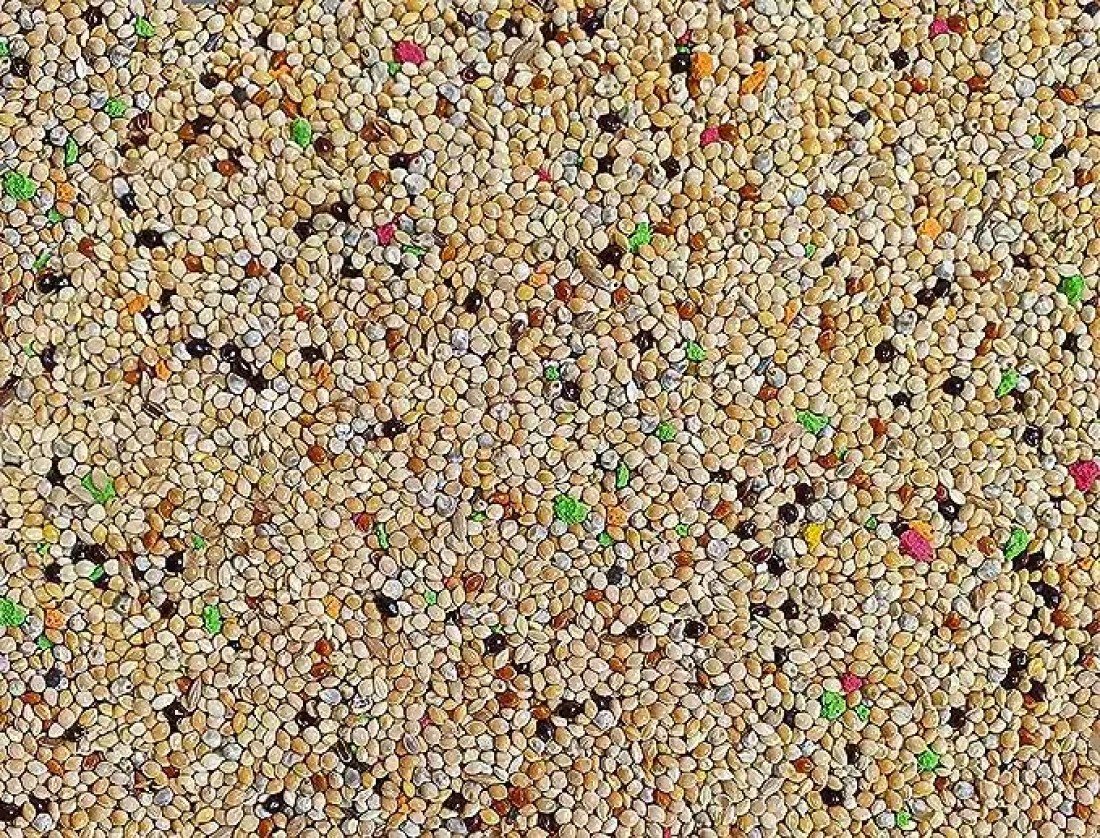 Egardenkart® Bird Food Small bird Budgie finches canaries hookbills doves quail and sparrows Seed mix (1kg, Budgie)