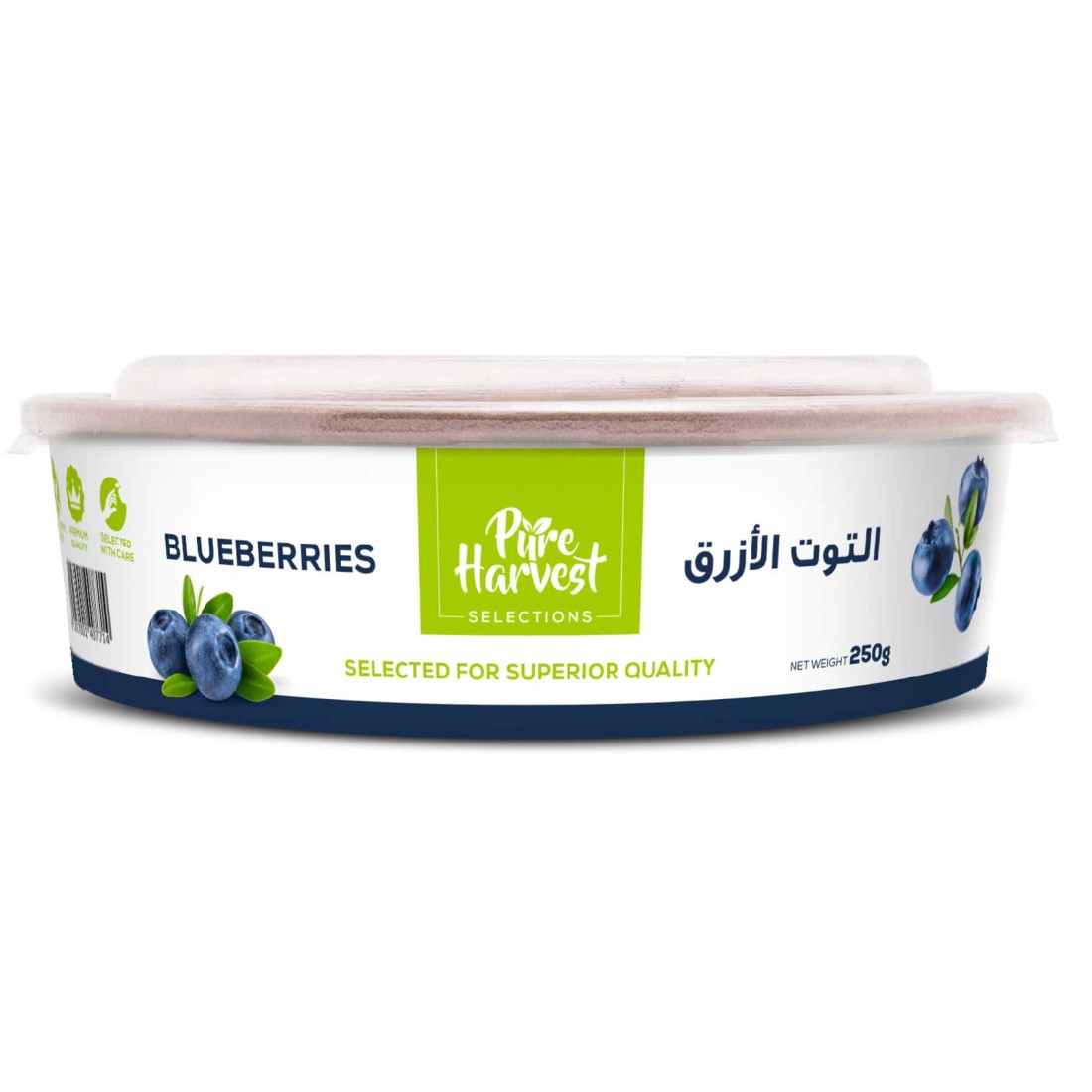 Blueberries Premium 250g