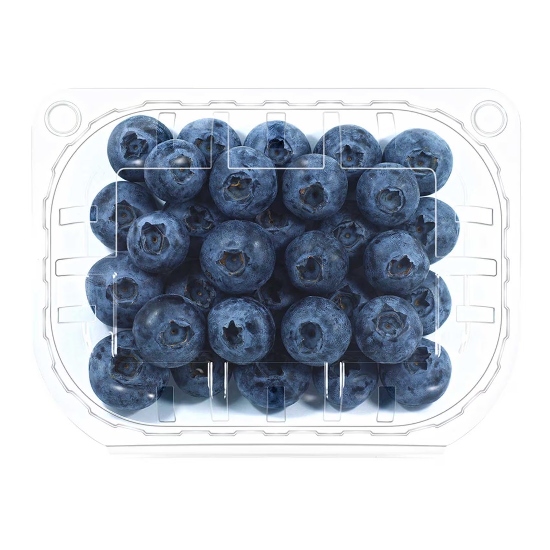 Blueberry Prepack