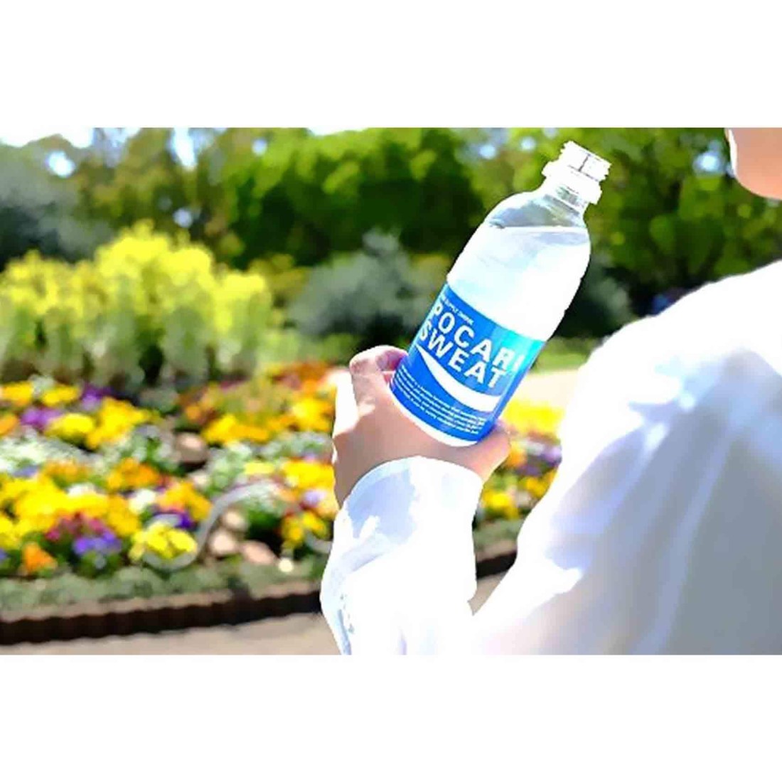 Pocari Sweat Pet Bottle 500ml