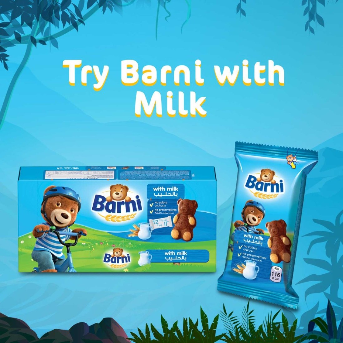 Barni Chocolate Cake 30g
