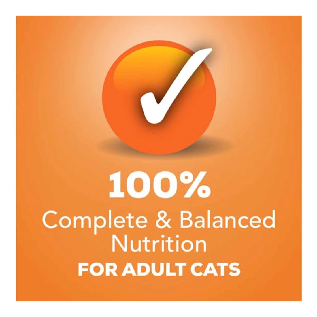 Purina Friskies Mixed Grill Wet Cat Food Pate, 156g