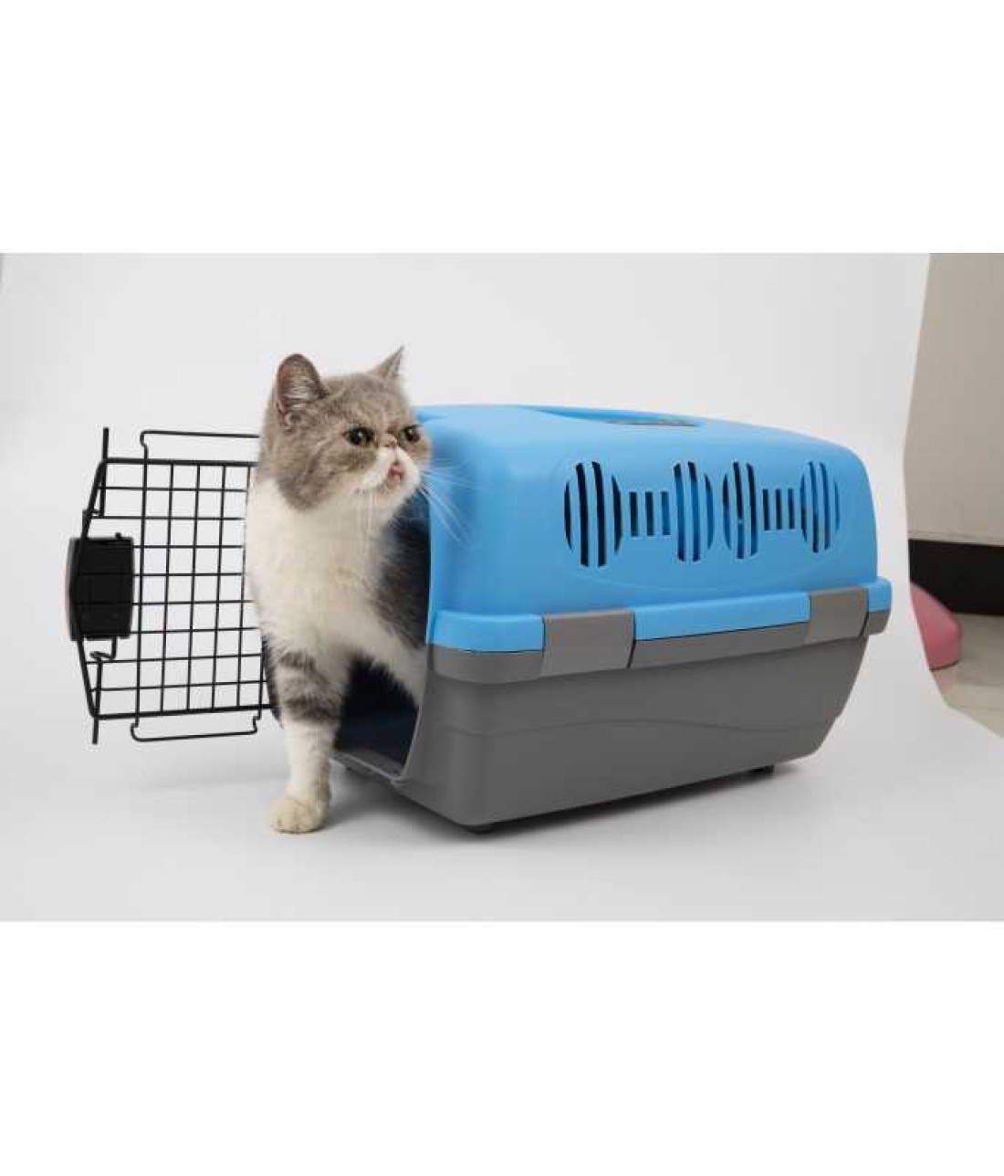 Pado Pet Carrier - Small Blue