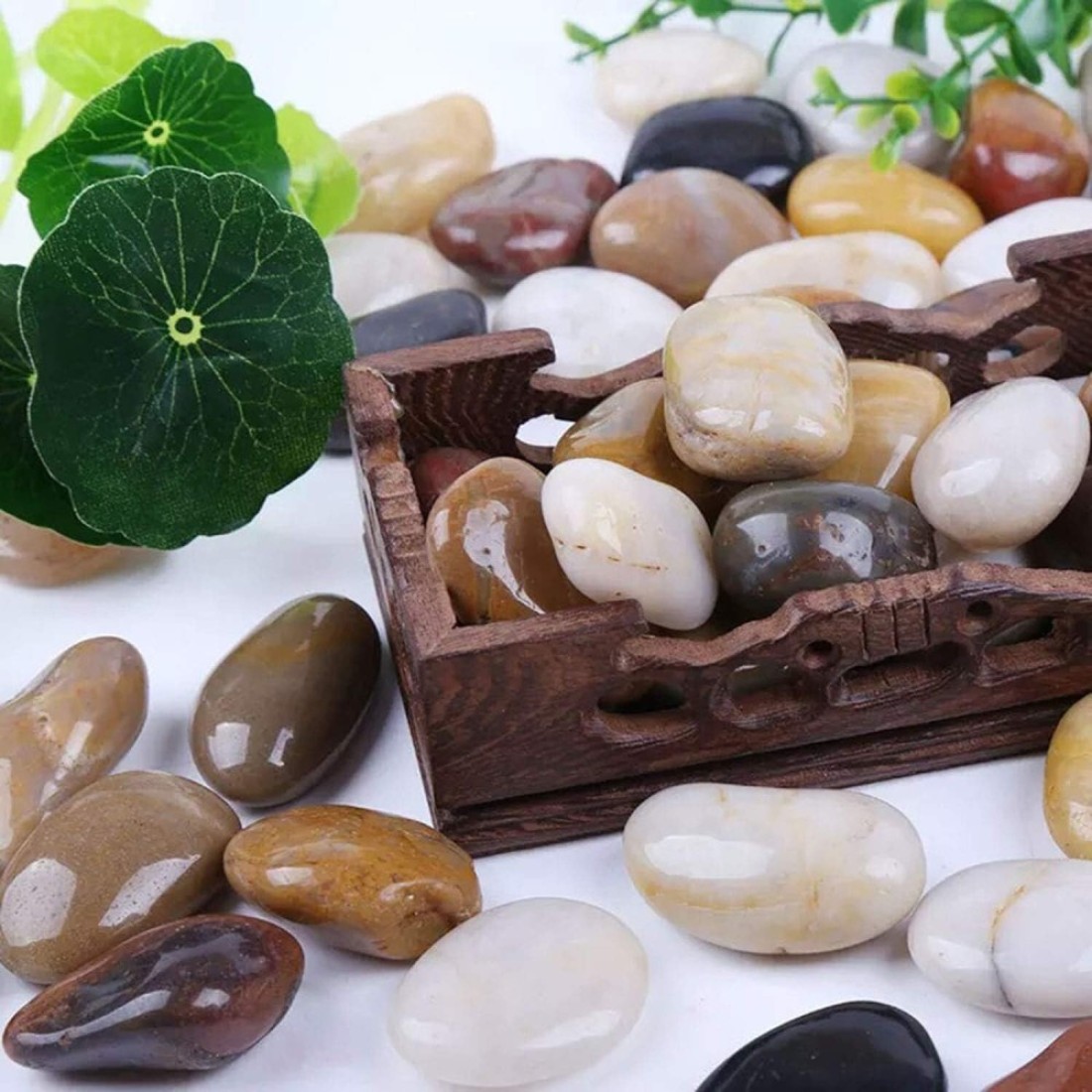 Polished Indian Stone 10 kg (1-2cm) Aquarium Pebbles Natural Gravel Fish Tank Stones