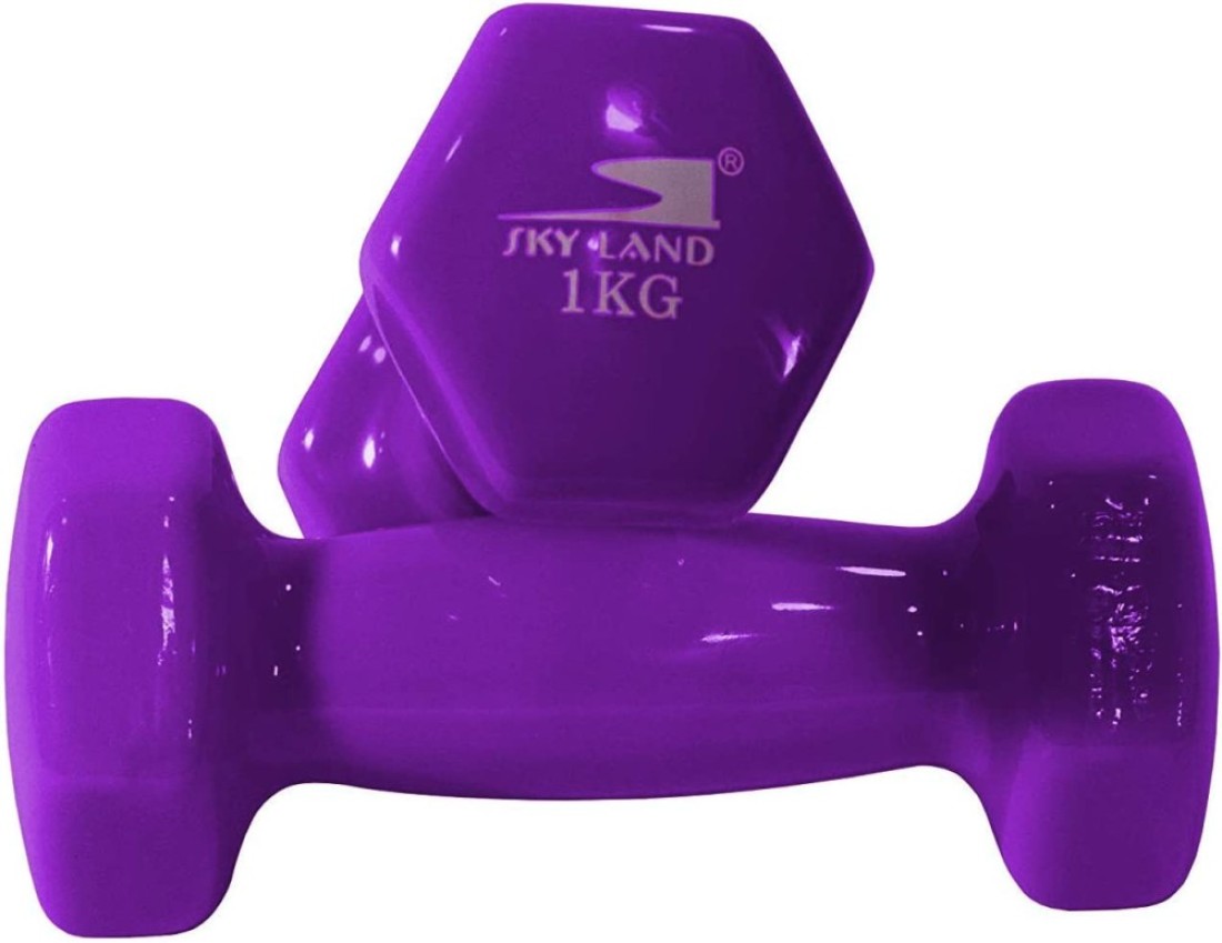 Sky Land Vinyl Dumbbell Classical Head 1 Kgx2 Purple