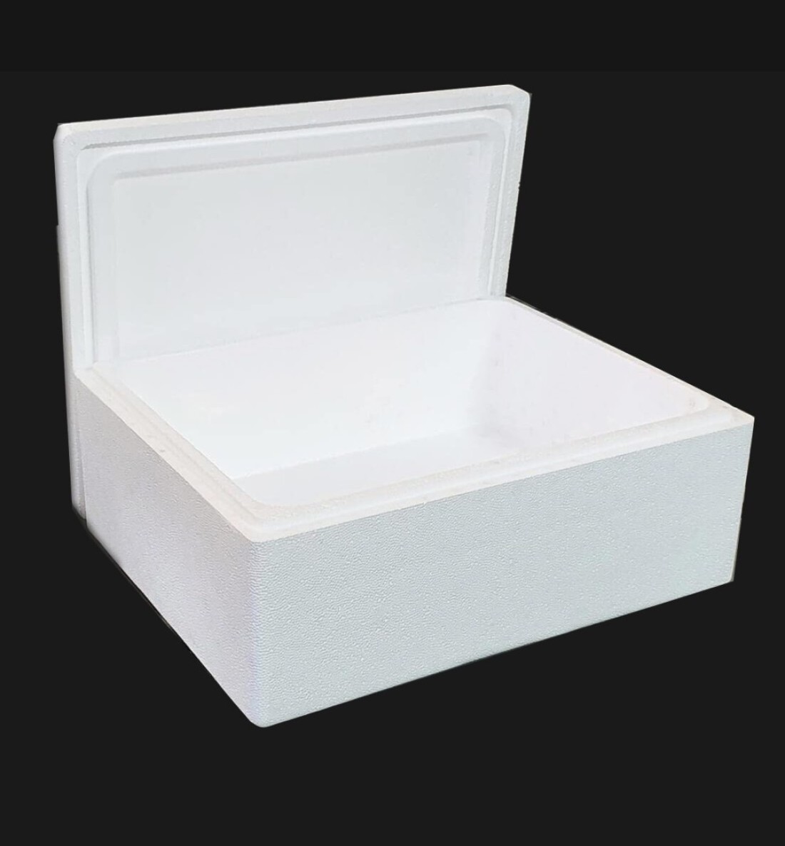 ALSAQER-Thermocoal Ice Box-(6Litre-3KG)Thermocoal Cool Box-Thermo Keeper Container, Expanded Polystyrene Cooler, Fishing Ice Box