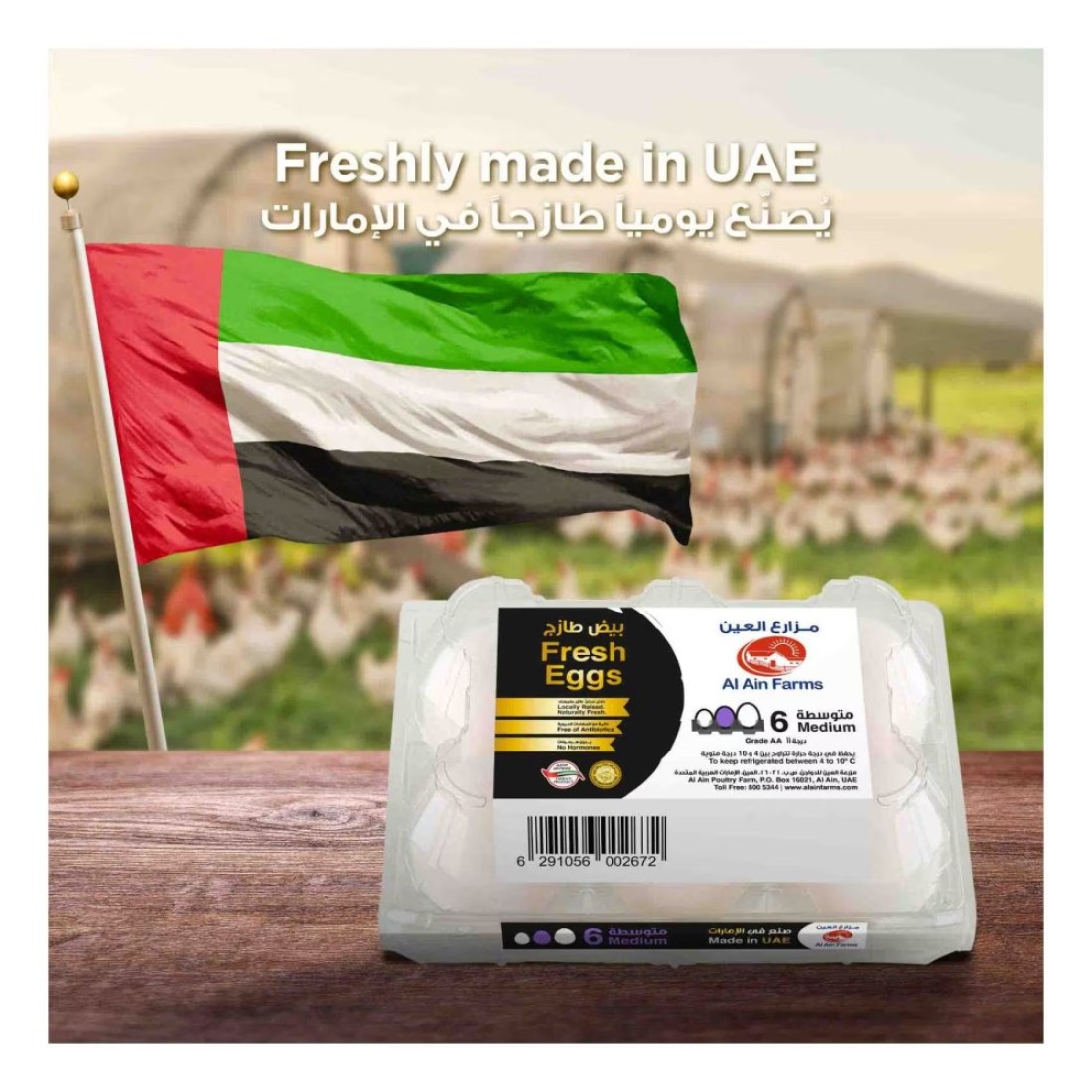 مزارع العين بيض أبيض وسط طازج 6 قطع