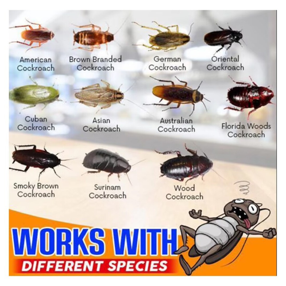 Cockroach Killer Gel Bait - Safe &amp; Effective Pest Control for Indoors &amp; Outdoors 10g