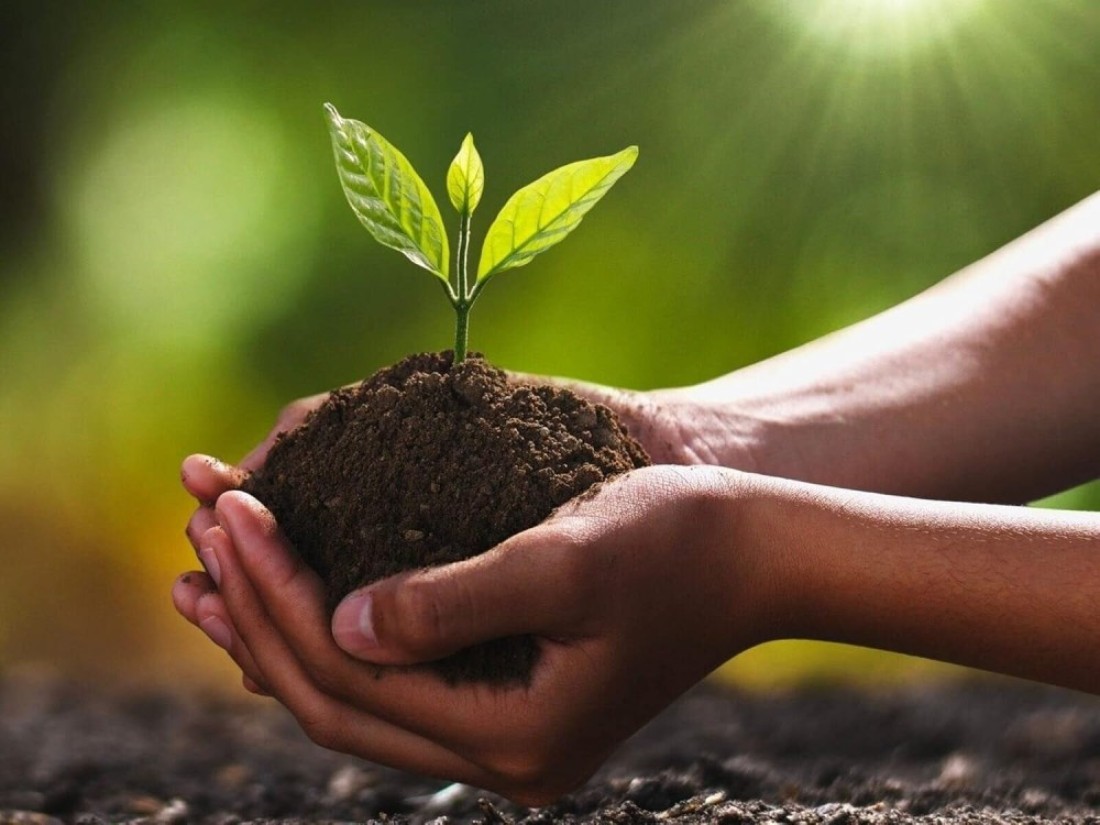 ell24 Bio Tech Potting Soil-6 kg (20L) Superior Growing Medium with Bioactive Components for Robust Plant Growth