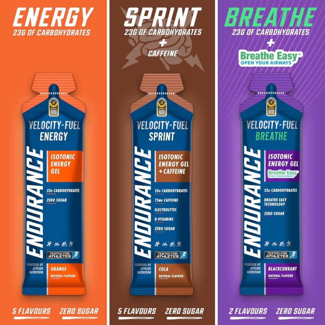 Applied Nutrition Endurance, Isotonic Energy Gel, High In Carbohydrates, Quick Energy On The Go, For Performance Sports (Pack of 20 x 60g) (Blackcurrant)