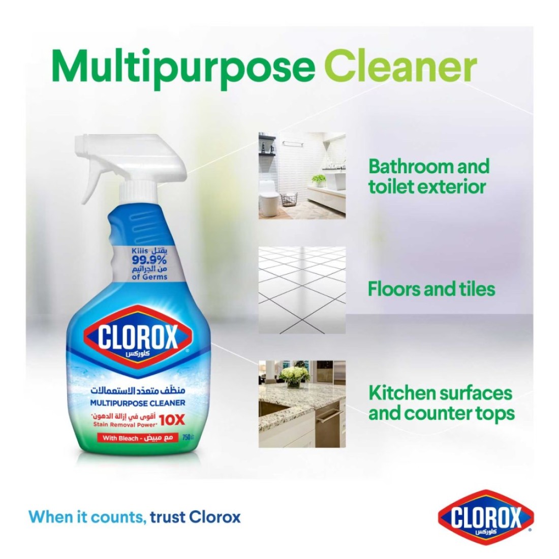 Clorox Multipurpose Spray Cleaner 750ml