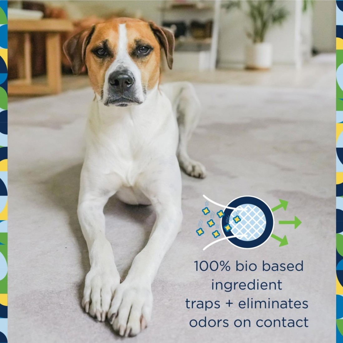 Pet Life Unlimited Carpet Refresher Powder Carpet Deodorizer Powder Pet Safe Carpet Powder Pet Odor Eliminator for Carpet with PlantBased Juniper Leaf Scent Made in the USA 16oz Pack of 1
