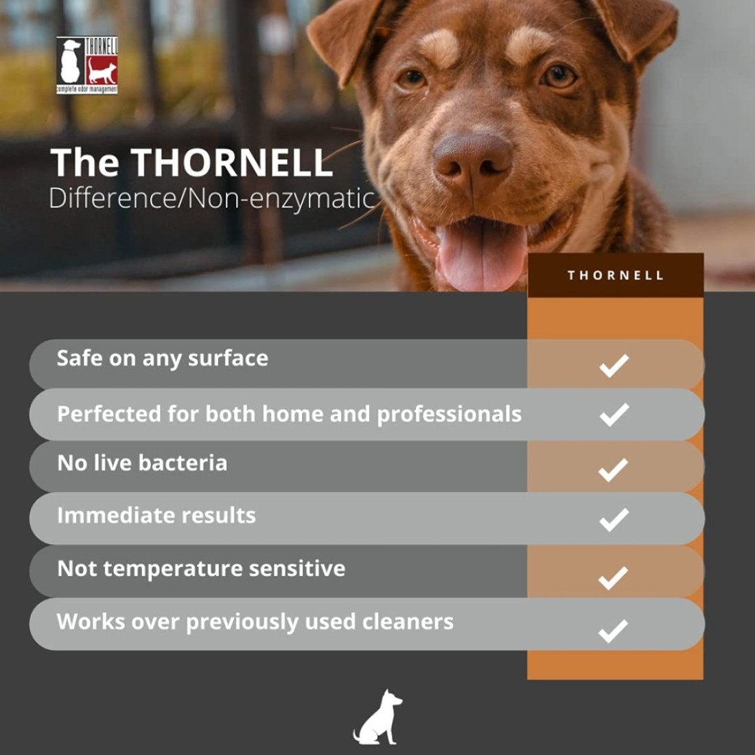 Thornell Dog OdorOff Pet Odor Eliminator Soaker Bottle 16 oz Ready to Use Dog Carpet Cleaner Soaker Dog Urine Carpet Cleaner for Home Glandular Secretions Feces Odors on Carpet Cages More