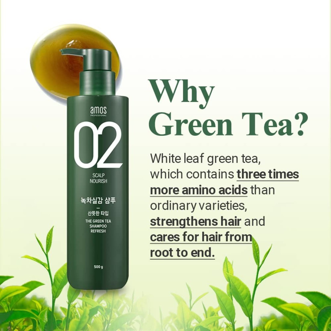 AMOS PROFESSIONALThe Green Tea Shampoo Refresh For Oily Scalp 176oz 500g AntiHair Loss Korean Hair Growth Shampoo for Cleanse Excess Sebum