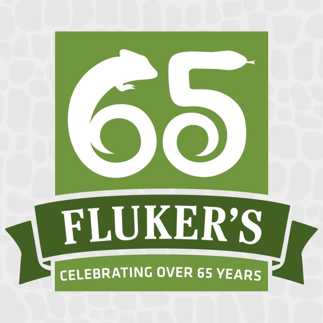 Flukers Repta Rinse Reptile Eye Wash 2 oz
