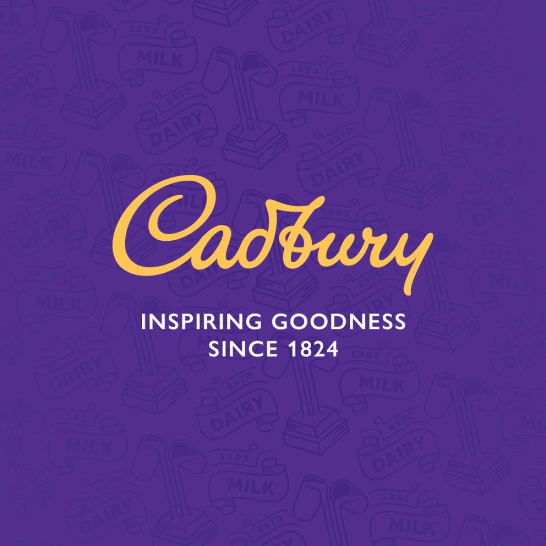 Cadbury Original Chocolate Cocoa Powder, 250g