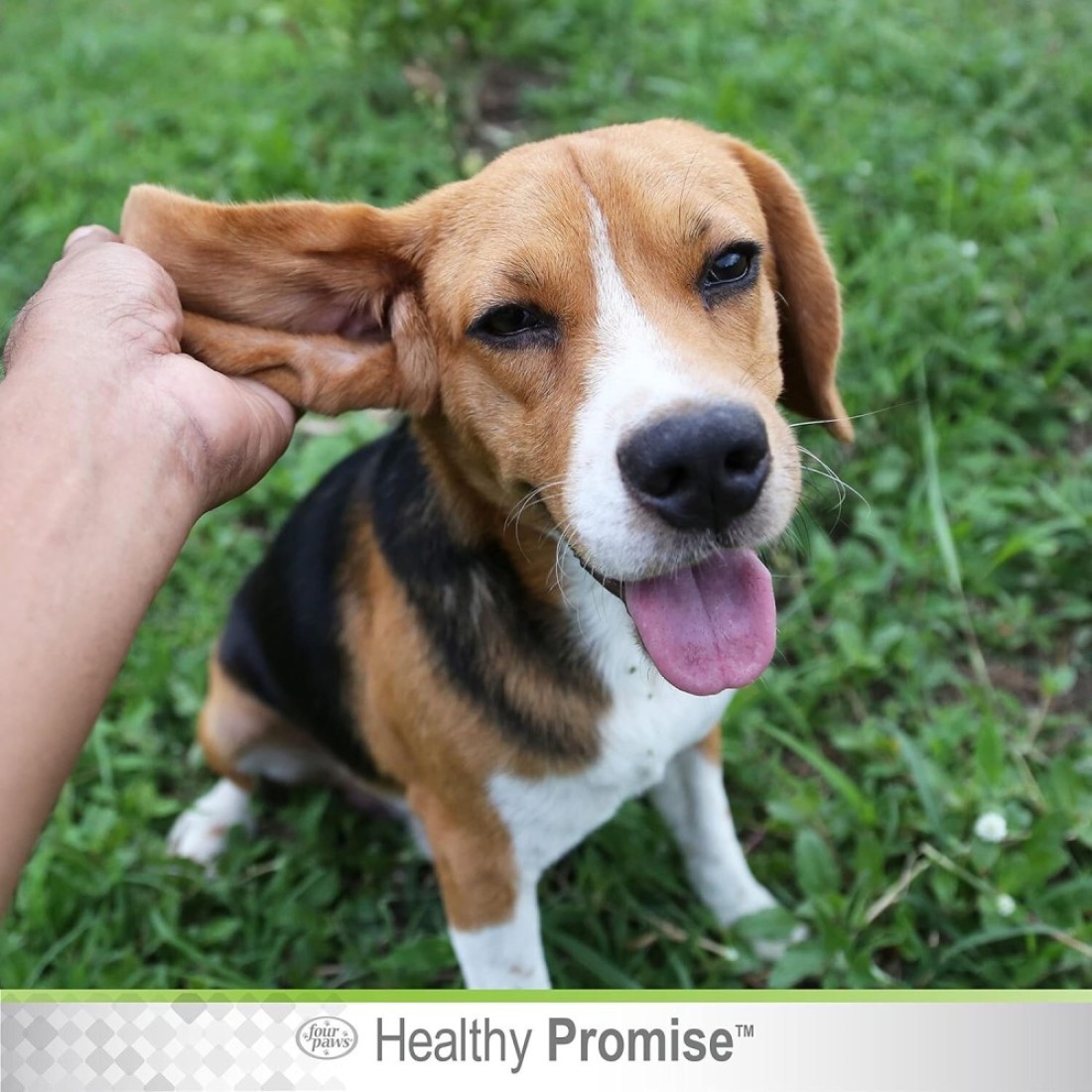 Four Paws Dog Ear Wash &ndash; Gentle Ear Cleaning &amp; Itch Relief for Dogs 118Ml
