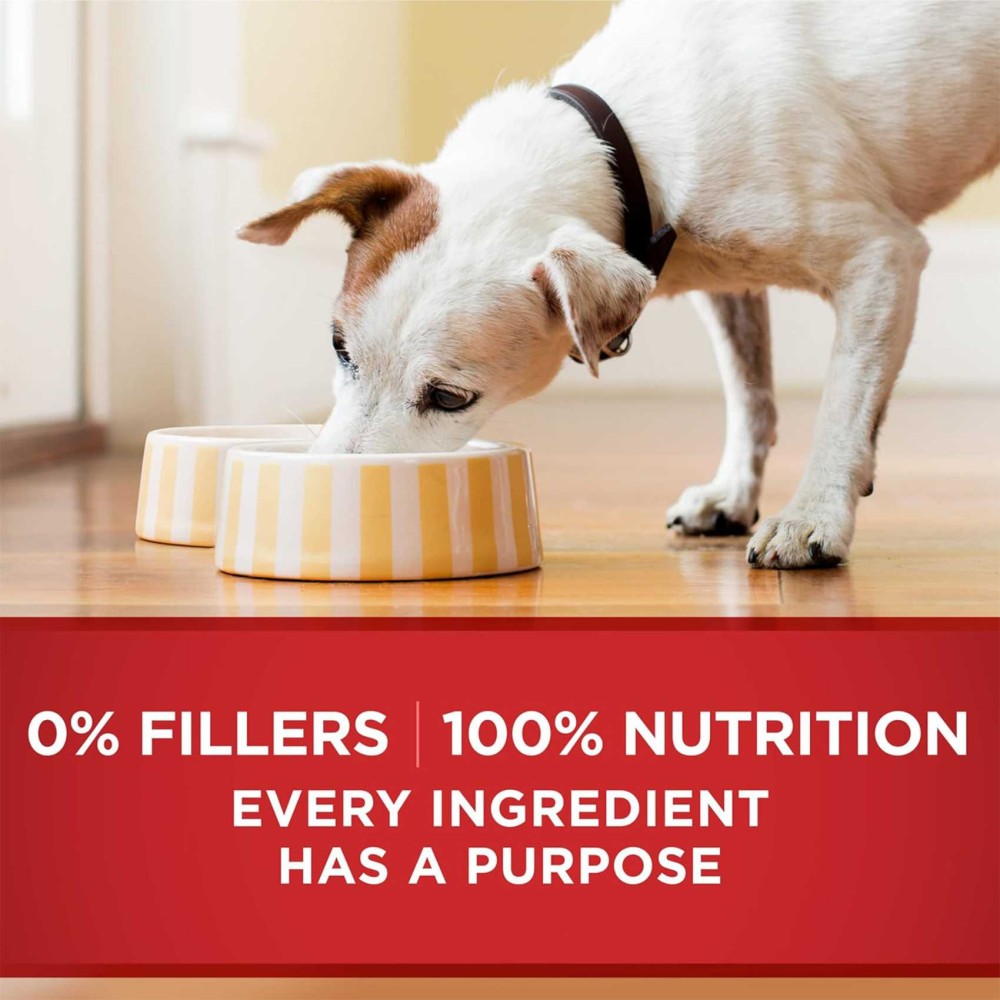 Purina ONE Classic Ground Chicken &amp; Brown Rice Entr&eacute;e, Dog Food, 368g