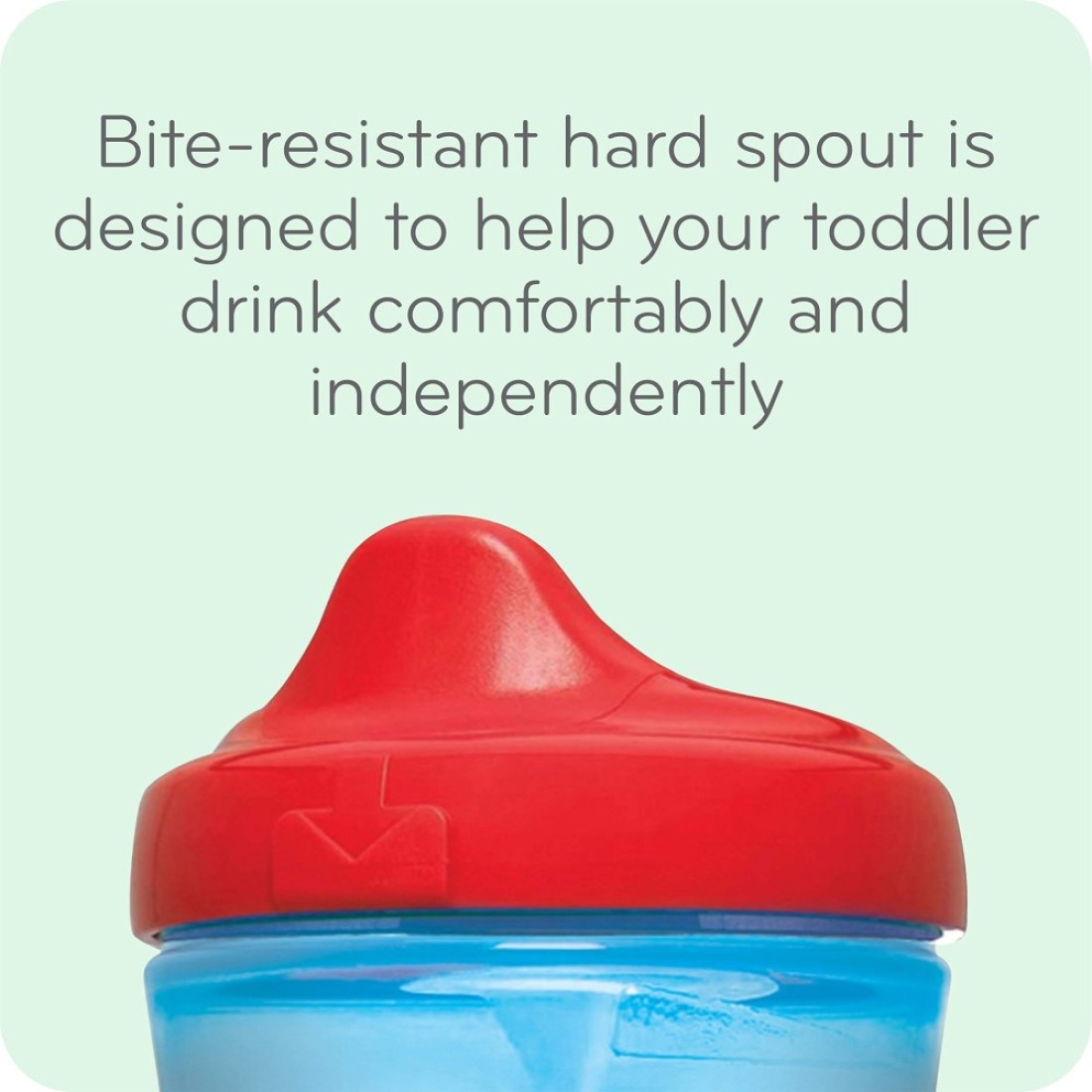 NUK Sesame Street Hard Spout Cup 10 Oz 2 Pack BPA Free Spill Proof Sippy Cup