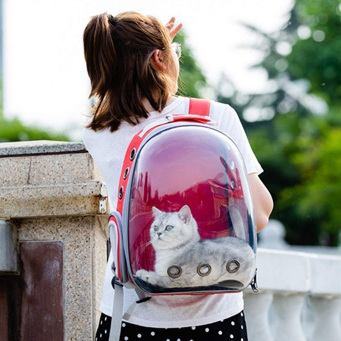 Generic Nyganmelloz Pet Carrier Backpack, Cats And Puppies Cat Breathable Bag Pet Portable Carrier Bag Outdoor Travel Backpack For Cat And Dog Transparent Space (Yellow)