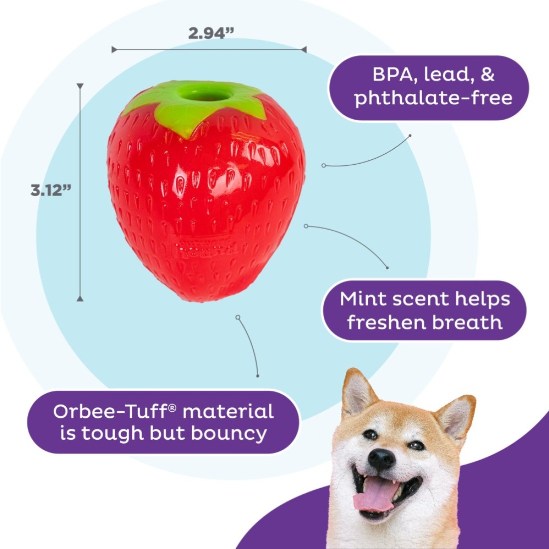 Outward Hound Foodies Carrot Strawberry TreatDispensing Dog Chew Toy Pink