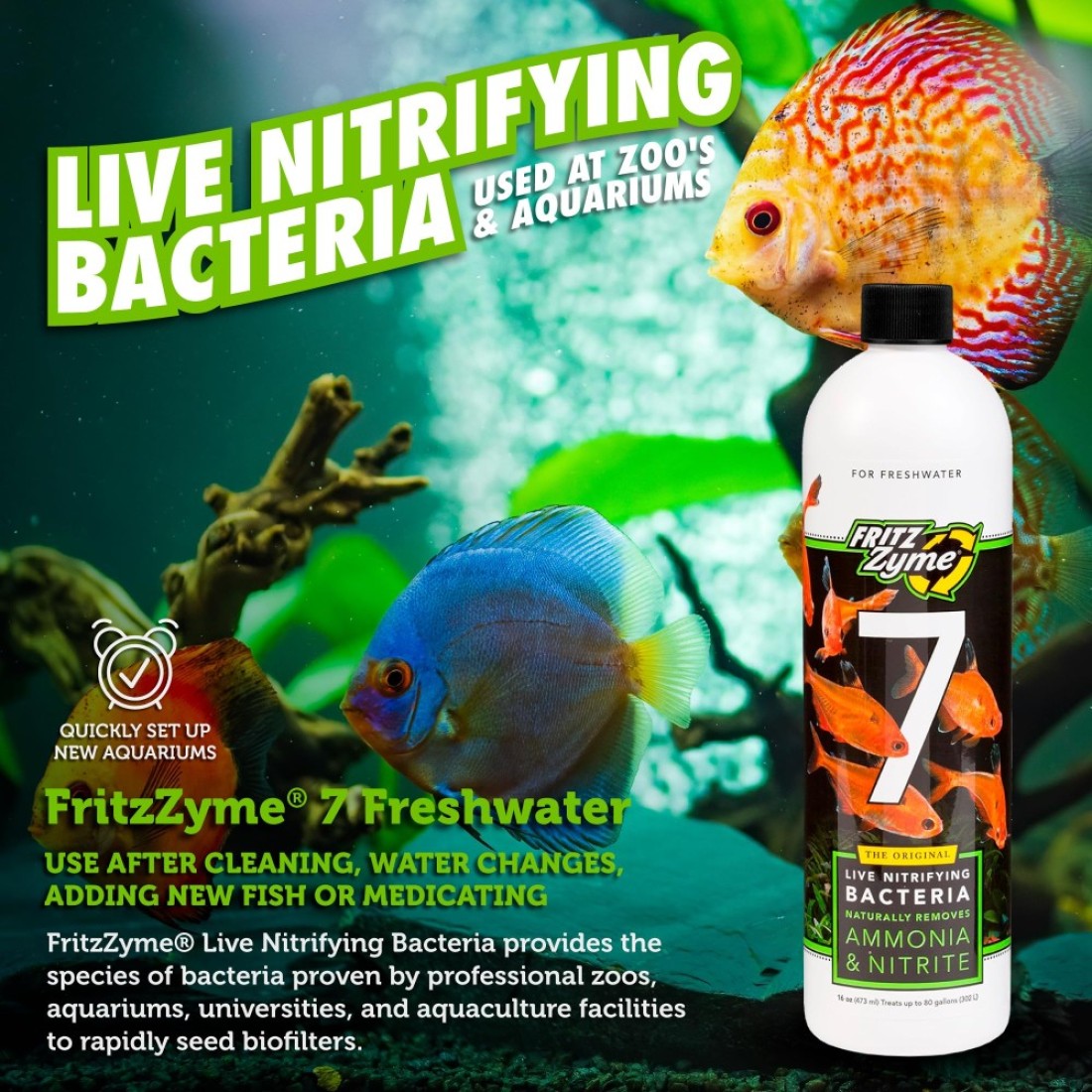 Fritz Aquatics FritzZyme 7 Live Nitrifying Bacteria Naturally Removes Amonia Nitrite for Freshwater Fish 16Ounce